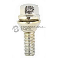 PROFESSIONAL PARTS 77340010C - Wheel bolt chrome